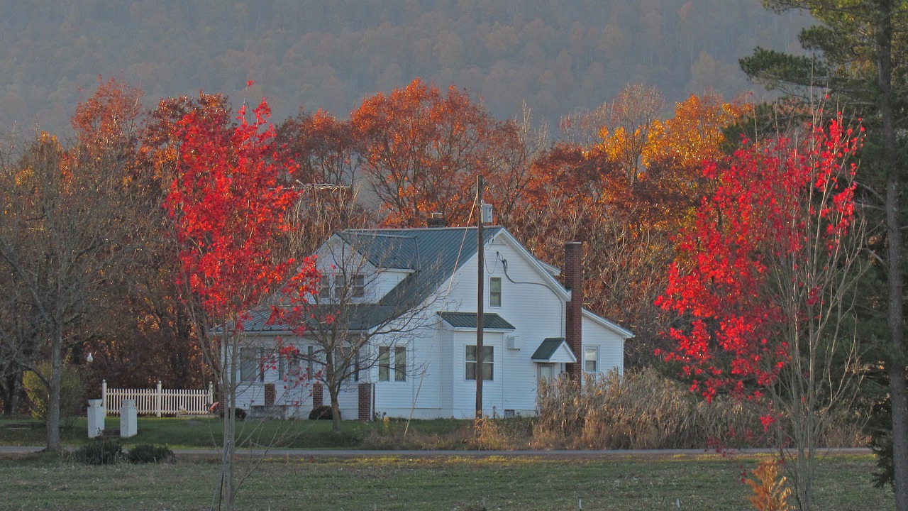 Roof in Fall Season