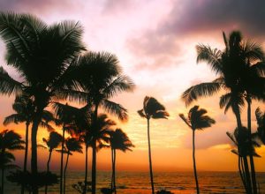 Things to do in Hawaii