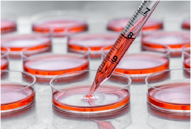 Regenerative Medicine