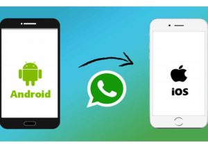 transfer-whatsapp-to-new-phone
