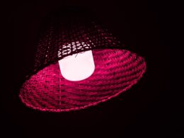 Everything to Know About Zone Induction UVC Lamps light-bulb