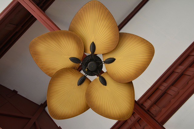 ceiling fans in home