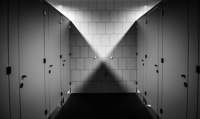 Practical Tips for Dealing With Blocked Toilets in the Office